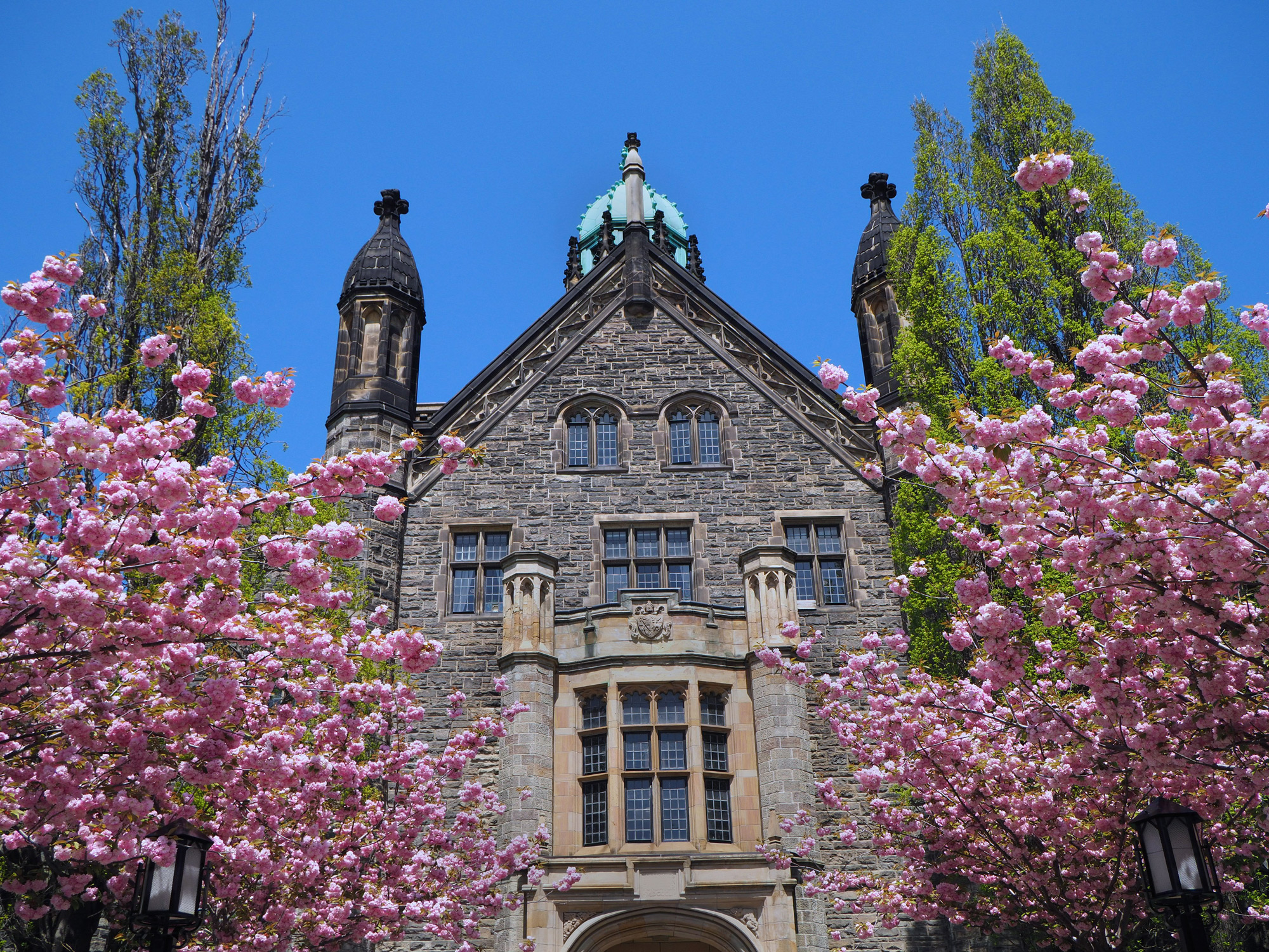 popp_associates_college_prep_support